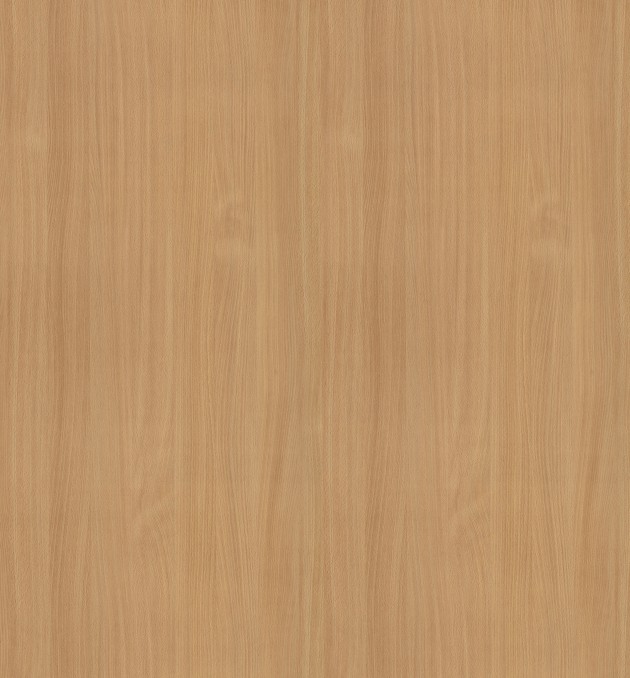 816 - Mangfall Beech